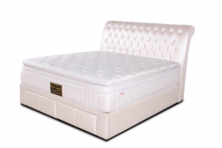 backcare-premium