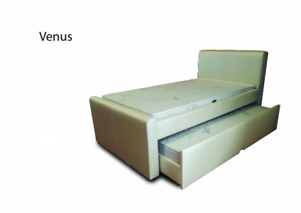Venus
